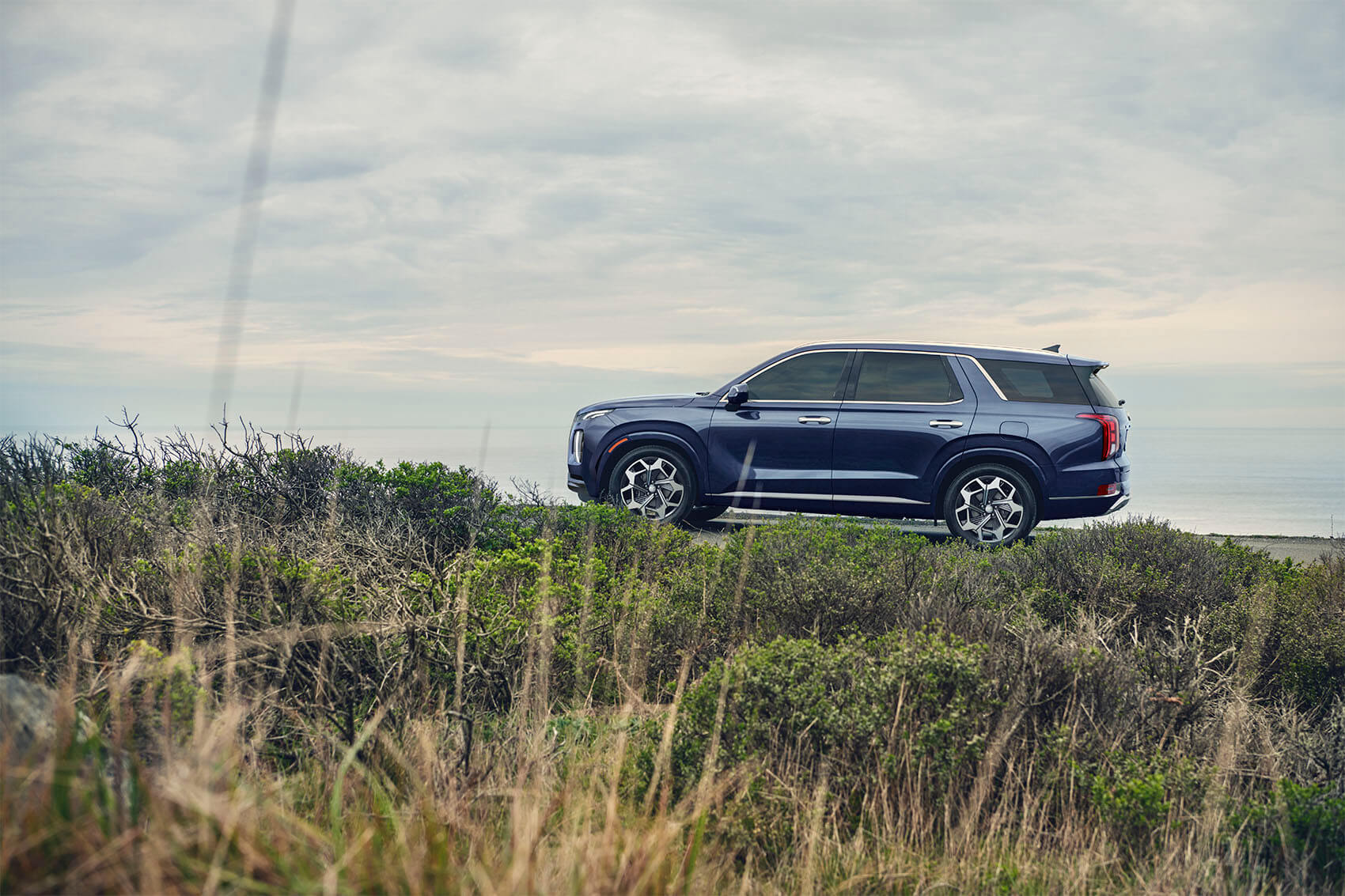 Hyundai Palisade Performance